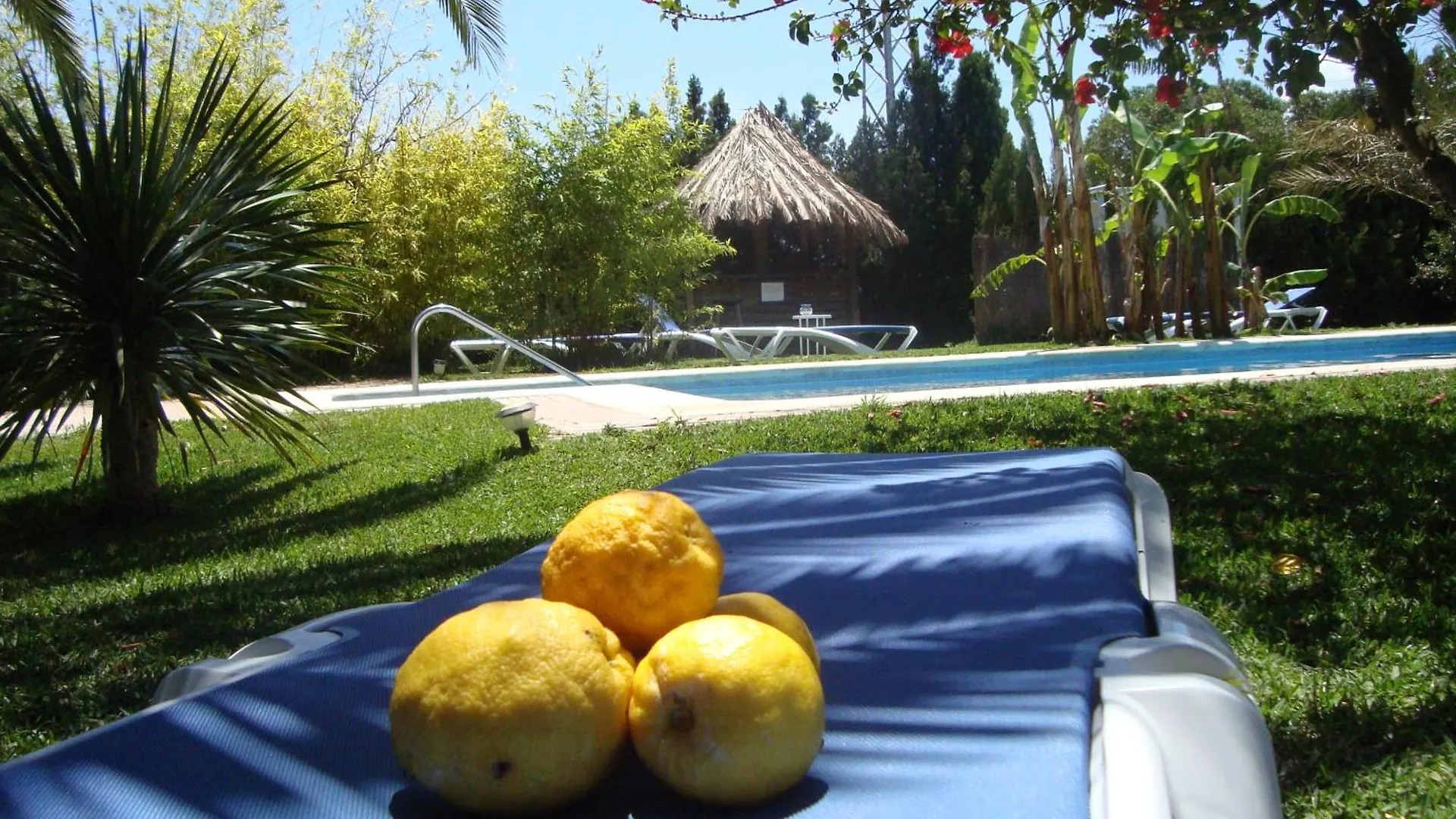 Resort Bungalows Puravida Zahora